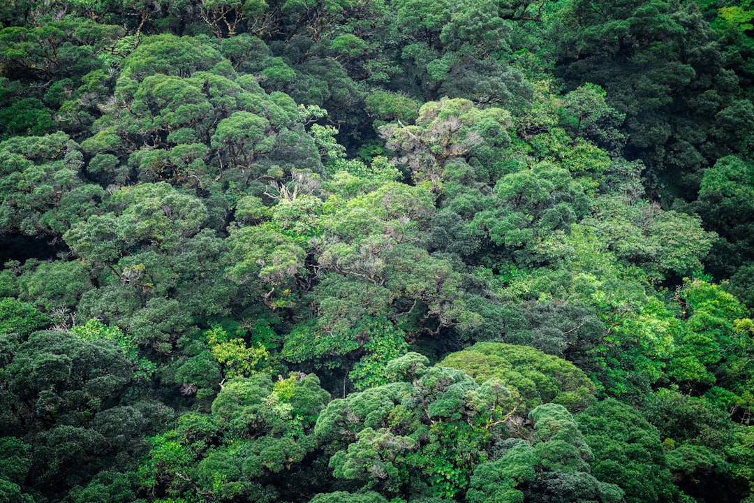 Photo ecological initiatives