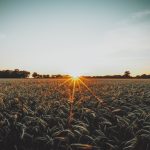 Photo Regenerative agriculture