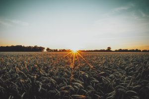 Photo Regenerative agriculture