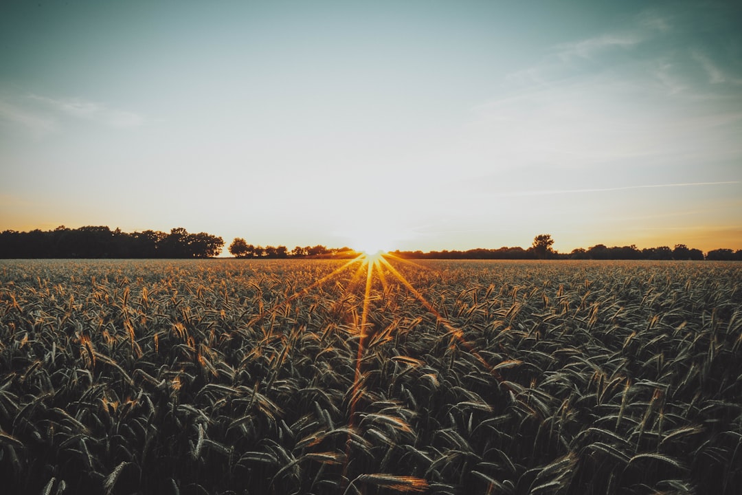 Photo Regenerative agriculture