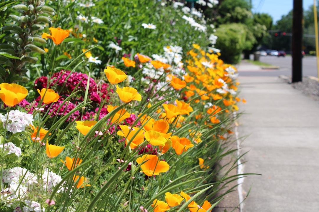 Photo urban biodiversity