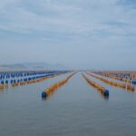 Photo Oceanic fish farms