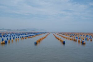 Photo Oceanic fish farms